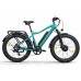 Электровелосипед Eltreco BigCat Dual Next Электровелосипед Eltreco BigCat Dual Next