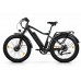 Электровелосипед Eltreco BigCat Dual Next
