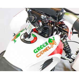 Квадроцикл GreenCamel Гоби K12 (24V 350W R4 Цепной привод) уценка по пластику