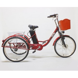 Электровелосипед GreenCamel Трайк-24 (R24 500W 48V) УЦЕНКА царапины