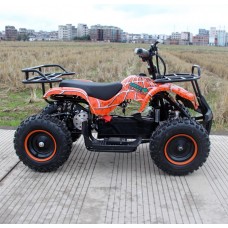 Квадроцикл GreenCamel Gobi K200 (36V 800W R6 Цепь)