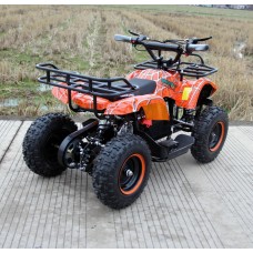 Квадроцикл GreenCamel Gobi K200 (36V 800W R6 Цепь)