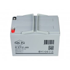 Тяговый аккумулятор SKN 6-EVF-60 (12V64A/H C5)