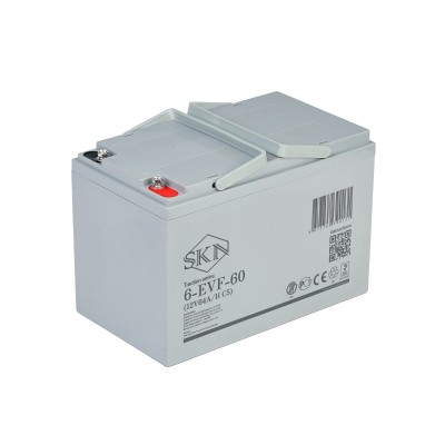 Тяговый аккумулятор SKN 6-EVF-60 (12V64A/H C5)