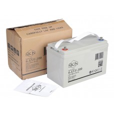 Тяговый аккумулятор SKN 6-EVF-100 (12V105A/H C5)