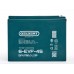 Тяговый аккумулятор Gelbert 6-EVF-45 (12V47.5A/H C5)