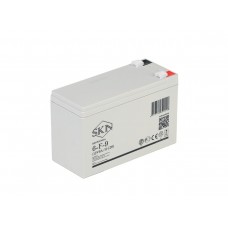 Аккумулятор для ИБП SKN 6-F-9 (12V9A/H C20)