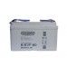Тяговый аккумулятор Gelbert 6-EVF-60 (12V64A/H C5)