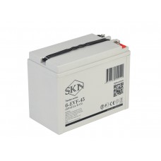 Тяговый аккумулятор SKN 6-EVF-45 (12V47.5A/H C5) Тяговый аккумулятор SKN 6-EVF-45 (12V47.5A/H C5)