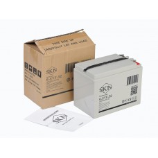Тяговый аккумулятор SKN 6-EVF-52 (12V55A/H C5)