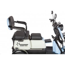 Пассажирский Электротрицикл Rutrike Gelbert Vega 48V/60V 600Вт купить с доставкой. Трицикл для взрослых