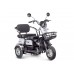 Пассажирский Электротрицикл Rutrike Gelbert Caf 48V/60V 600Вт купить с доставкой. Трицикл для взрослых
