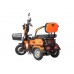 Пассажирский Электротрицикл Rutrike Gelbert Caf 48V/60V 600Вт купить с доставкой. Трицикл для взрослых