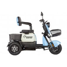 Пассажирский Электротрицикл Rutrike Gelbert Vega 48V/60V 600Вт купить с доставкой. Трицикл для взрослых