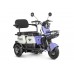 Пассажирский Электротрицикл Rutrike Gelbert Vega 48V/60V 600Вт купить с доставкой. Трицикл для взрослых