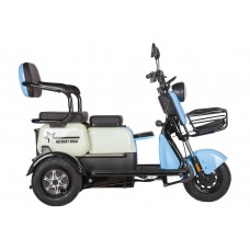 Пассажирский Электротрицикл Rutrike Gelbert Vega 48V/60V 600Вт купить с доставкой. Трицикл для взрослых