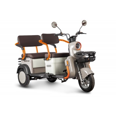 Пассажирский Электротрицикл Rutrike Gelbert Beta 48V/60V 800Вт купить с доставкой. Трицикл для взрослых