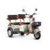 Пассажирский Электротрицикл Rutrike Gelbert Beta 48V/60V 800Вт купить с доставкой. Трицикл для взрослых
