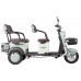 Пассажирский Электротрицикл Rutrike Gelbert Beta 48V/60V 800Вт купить с доставкой. Трицикл для взрослых