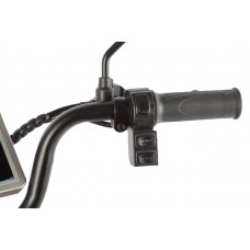 Пассажирский Электротрицикл Rutrike Gelbert Kappa 48V/60V 650Вт купить с доставкой. Трицикл для взрослых