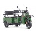 Пассажирский Электротрицикл Wanshida LC-F200 60V 1000Вт купить с доставкой. Трицикл для взрослых