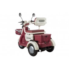 Пассажирский Электротрицикл Rutrike Gelbert Mercury 48V/60V 650Вт купить с доставкой. Трицикл для взрослых
