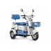 Пассажирский Электротрицикл Rutrike Gelbert Mercury 48V/60V 650Вт купить с доставкой. Трицикл для взрослых