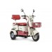 Пассажирский Электротрицикл Rutrike Gelbert Mercury 48V/60V 650Вт купить с доставкой. Трицикл для взрослых