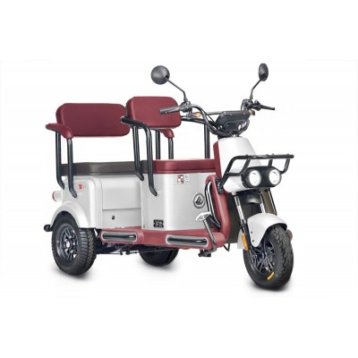 Пассажирский Электротрицикл Wanshida U1-X 60V 800Вт купить с доставкой. Трицикл для взрослых