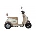 Пассажирский Электротрицикл Rutrike Gelbert Ogma 48V/60V 650Вт купить с доставкой. Трицикл для взрослых