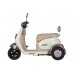Пассажирский Электротрицикл Rutrike Gelbert Ogma 48V/60V 650Вт купить с доставкой. Трицикл для взрослых