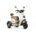 Пассажирский Электротрицикл Rutrike Gelbert Ogma 48V/60V 650Вт купить с доставкой. Трицикл для взрослых