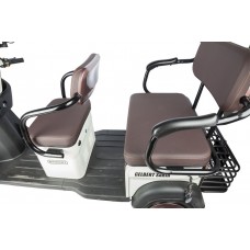 Пассажирский Электротрицикл Rutrike Gelbert Sarin 48V/60V 1000Вт купить с доставкой. Трицикл для взрослых