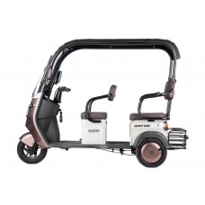 Пассажирский Электротрицикл Rutrike Gelbert Sarin 48V/60V 1000Вт купить с доставкой. Трицикл для взрослых