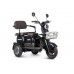 Пассажирский Электротрицикл Rutrike Gelbert Sun 48V/60V 650Вт купить с доставкой. Трицикл для взрослых