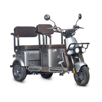 Пассажирский Электротрицикл Wanshida U1-X 60V 800Вт купить с доставкой. Трицикл для взрослых