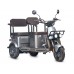 Пассажирский Электротрицикл Wanshida U1-X 60V 800Вт купить с доставкой. Трицикл для взрослых