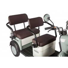 Пассажирский Электротрицикл Rutrike Gelbert Beta 48V/60V 800Вт купить с доставкой. Трицикл для взрослых
