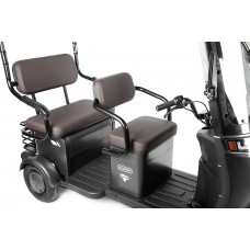 Пассажирский Электротрицикл Rutrike Gelbert Bos 48V/60V 800Вт купить с доставкой. Трицикл для взрослых