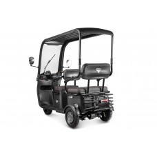 Пассажирский Электротрицикл Rutrike Gelbert Bos 48V/60V 800Вт купить с доставкой. Трицикл для взрослых
