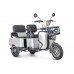 Пассажирский Электротрицикл Rutrike Gelbert Tuban 48V/60V 600Вт купить с доставкой. Трицикл для взрослых