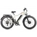 Электровелосипед Gelbert Pegas 3 DUAL PRO Электровелосипед Gelbert Pegas 3 DUAL PRO